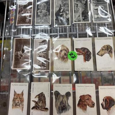 Sale Photo Thumbnail #150