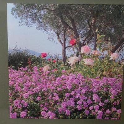 Sale Photo Thumbnail #23