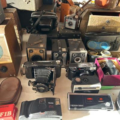Sale Photo Thumbnail #131