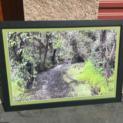 Sale Photo Thumbnail #171: Framed Photograph Print, Stream in Lush Forest