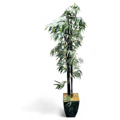 Sale Photo Thumbnail #62: Faux Black Bamboo Tree in Metal Planter