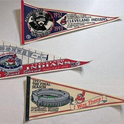Municipal Stadium Cleveland Indians Pennant Collection .jpg