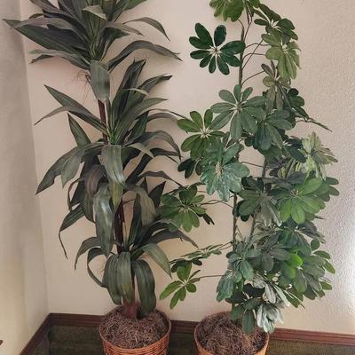 Tall Greenery 