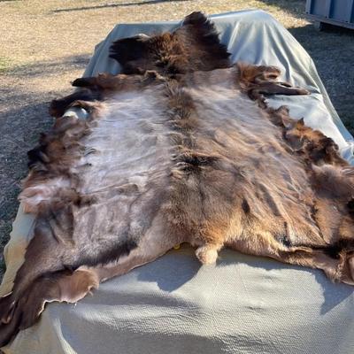 Large Animal Hide 