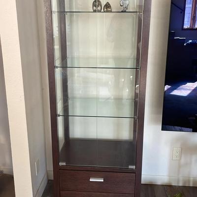 Glass Display Case 1