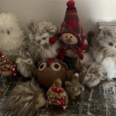 Owl Collection 