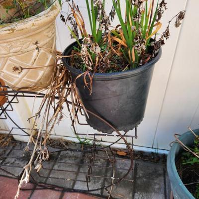 Sale Photo Thumbnail #143