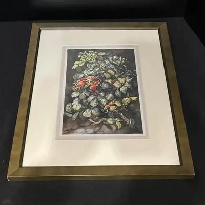 Botanical Print in frame 18”x15”