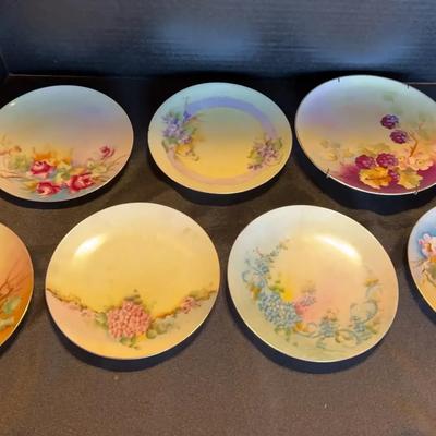 Thomas Bavaria Decorative Floral Plates 