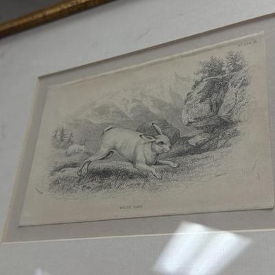 Sale Photo Thumbnail #34