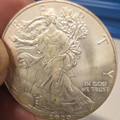 HST013 - Walking Liberty Silver Dollar 