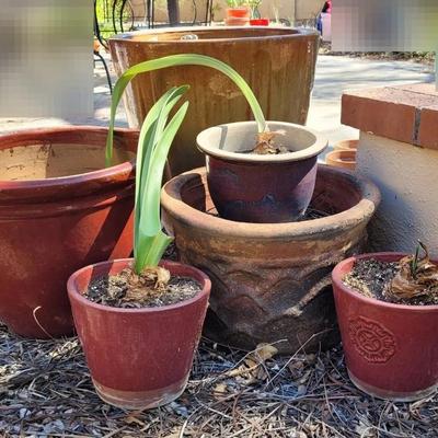Brown & Red Pots