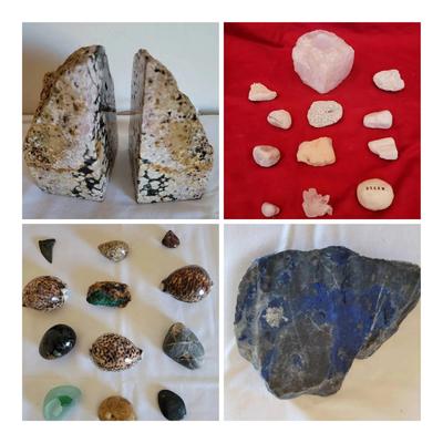 Rocks & Shells