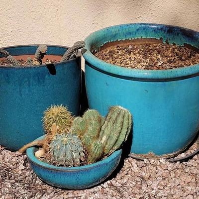 Three Teal Pots & Cacti