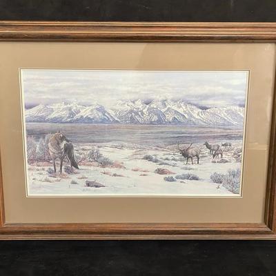 Coyote Print 