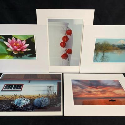 Colored Photographs By M.A. Mann