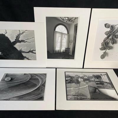 Black and White Photographs #2 M. A. Mann