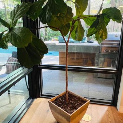 Sale Photo Thumbnail #65