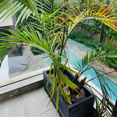 Sale Photo Thumbnail #104