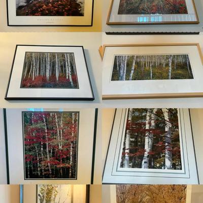 Autumn Framed Art Collection