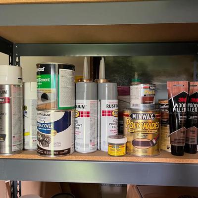 Wood & Project Finishing & Painting Supplies Mystery Lot 
