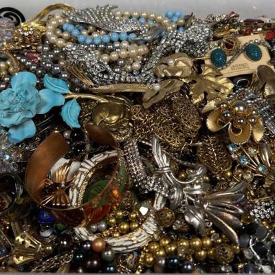 Sale Photo Thumbnail #224