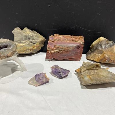 Petrified Wood Collection, Healing Stones, + More