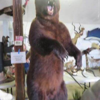 Sale Photo Thumbnail #5