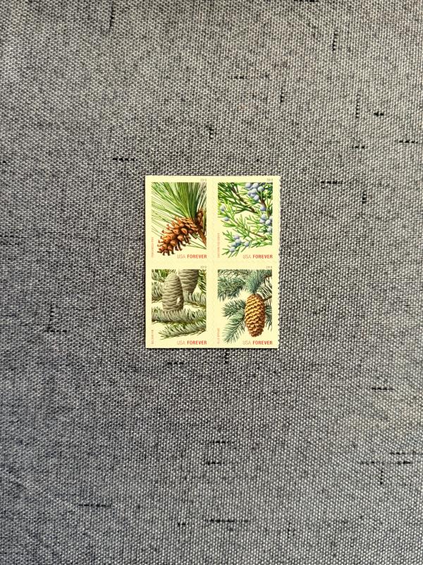 Sale Photo Thumbnail #554
