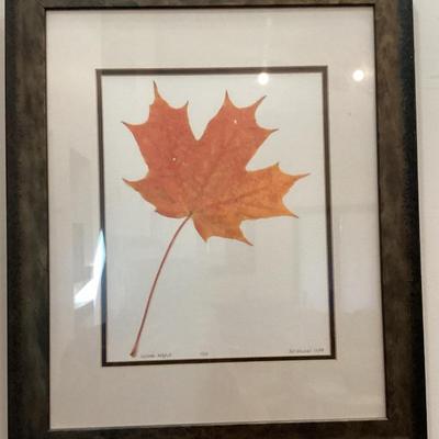 Sale Photo Thumbnail #56: Wall art sugar maple lithograph artist proof r j. wilson