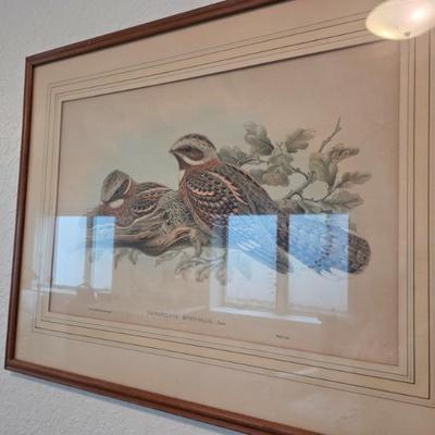Sale Photo Thumbnail #114