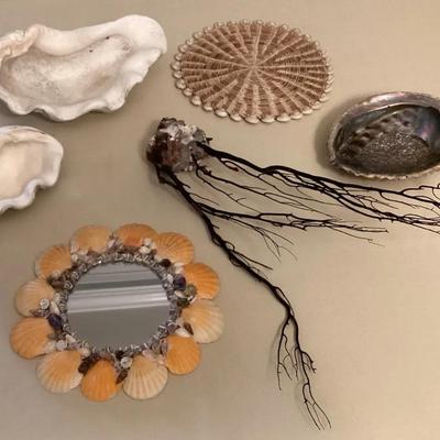 MFS053 Black Coral Branches, Giant Clam Shells, Abalone Shell & More!