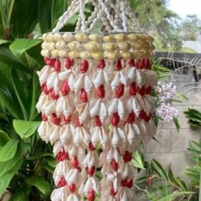 MFS054 Seashell Chandelier 