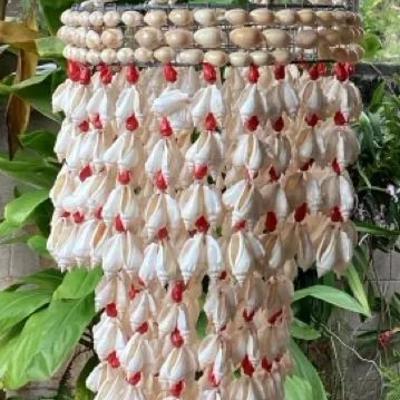 MFS055 Seashell Chandelier 
