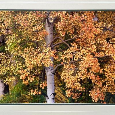 Sale Photo Thumbnail #158