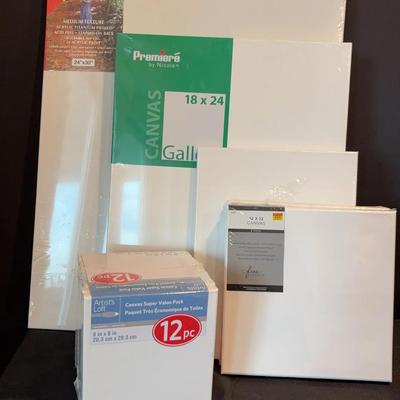 Collection of Artist Canvas (various sizes)