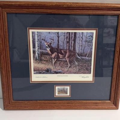 Harry Antis collectors Edition “Whitetail Wonder” Framed Deer Print And Stamp