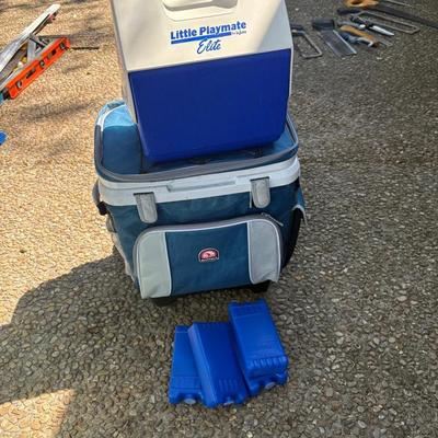 Igloo Coolers and Ice Packs
