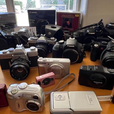 Sale Photo Thumbnail #316