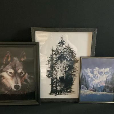 Wolf Picture Gallery 
