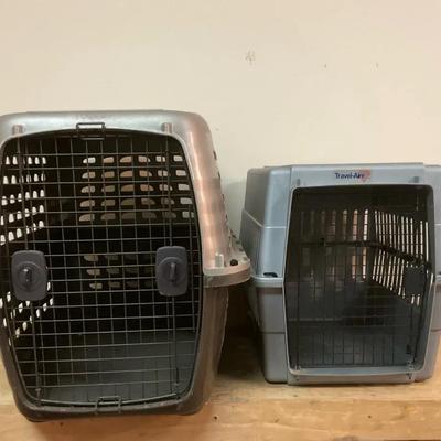 Dog Kennels 