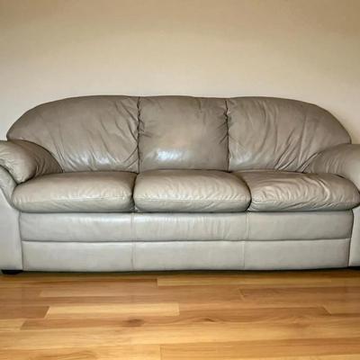 Sofa With Pullout Bed  