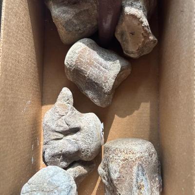 Dinosaur and other bones, shark teeth shells, fossils, and rock galore