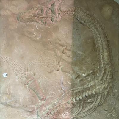 Great fossils and castings