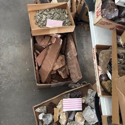 Fossils shells and rocks galore many collectible