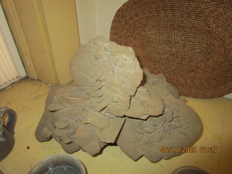 Sale Photo Thumbnail #6