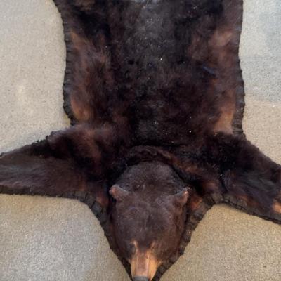 Authentic Bear Rug With Head 2