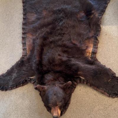 Authentic Bear Rug With Head 1