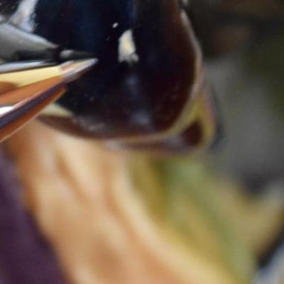 Sale Photo Thumbnail #321