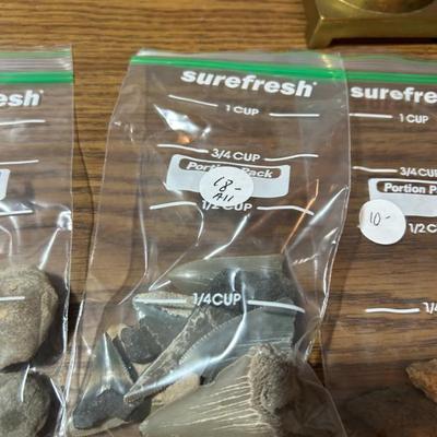 Sale Photo Thumbnail #81: Shark teeth